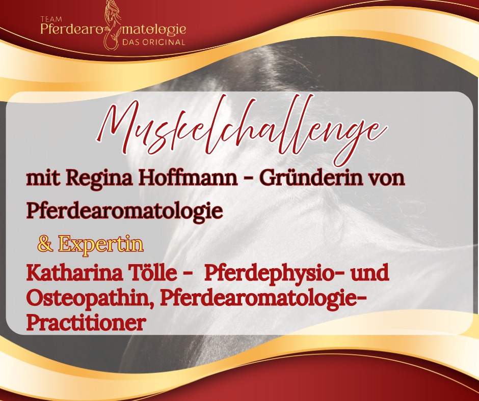 Muskelchallenge erklärung.jpg