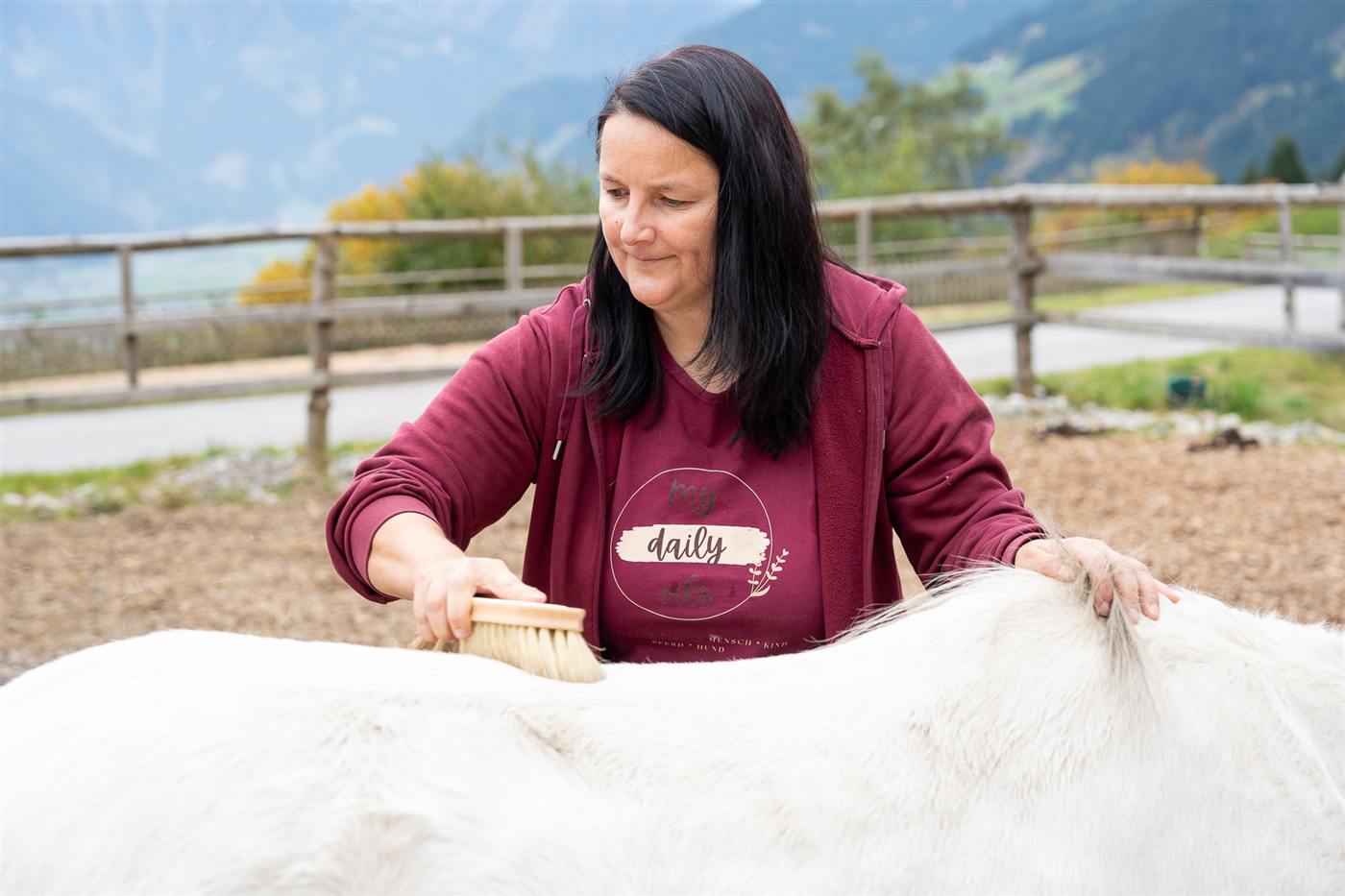 Angelika bürstet ein Pferd energetisch mit ätherischen Ölen