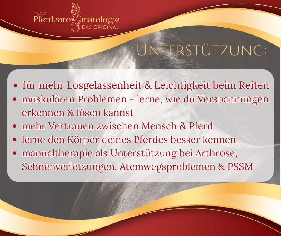 Erklärung - Muskelchallenge.jpg