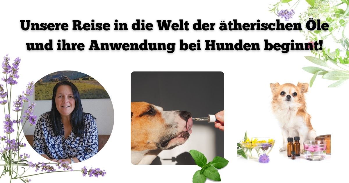 Tag 1 - Die Reise beginnt.jpg