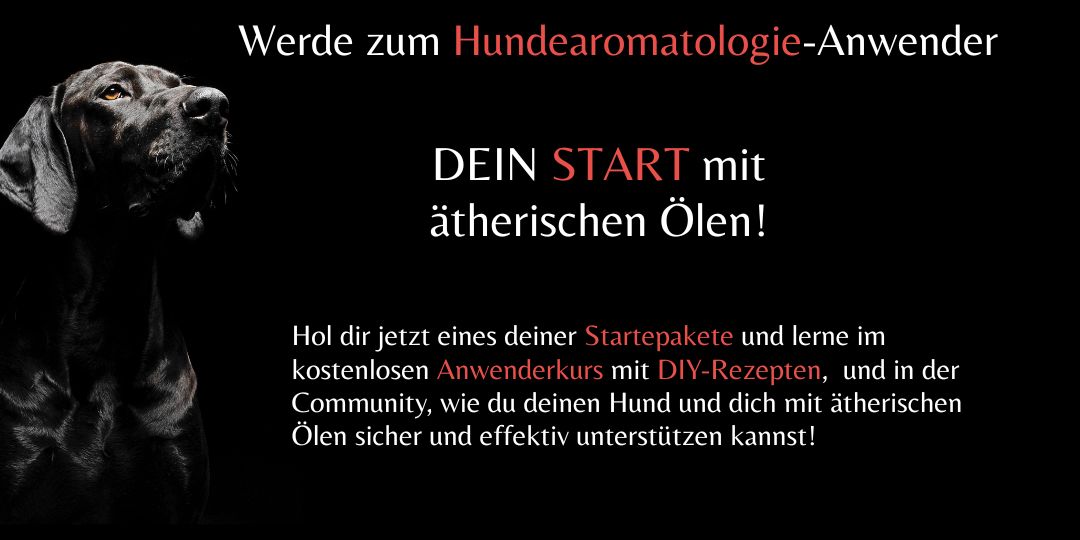 WErde zum Hundearomatolgoie anwender - Titelbild für HP.jpg
