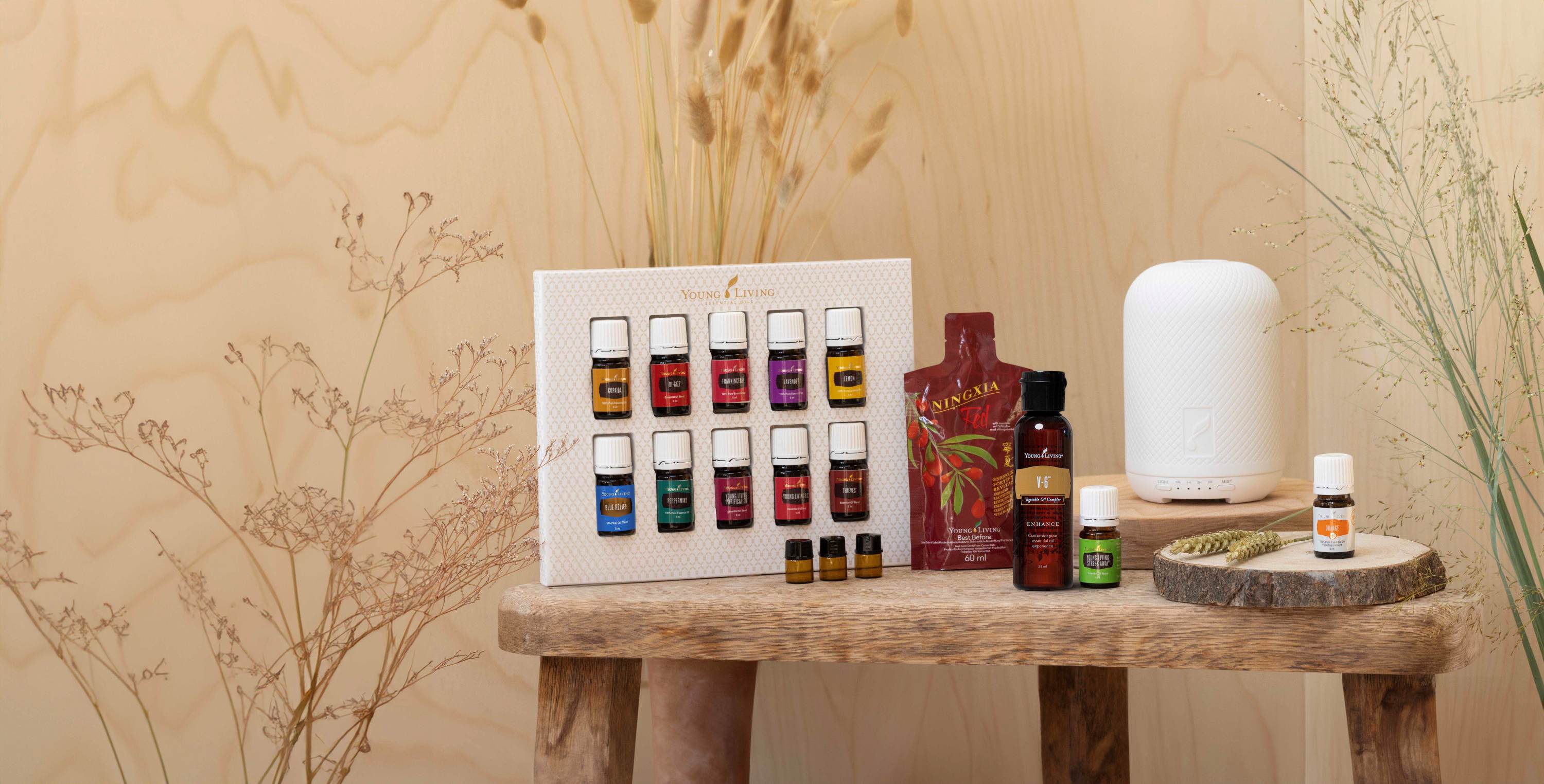 Haven-diffuser-PSK-orange-plus copy klein.jpg