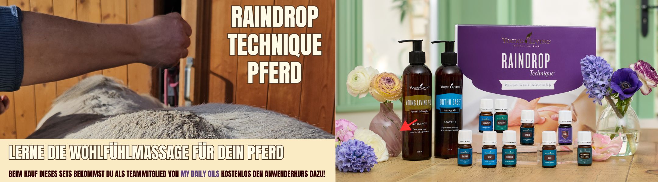 Raindrop Massage beim Pferd