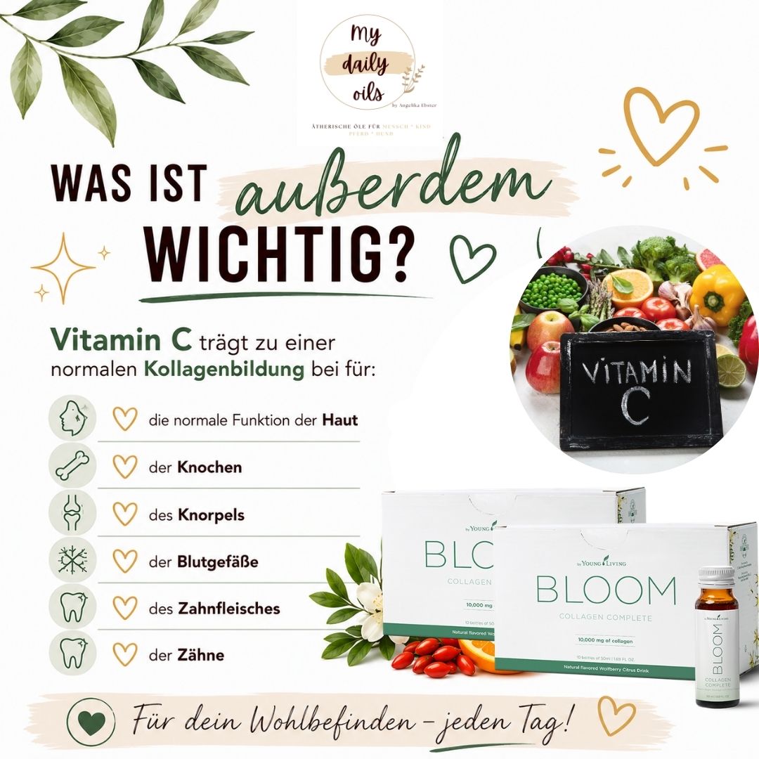 Was ist außerdem wichtig – Vitamin C und Kollagenbildung