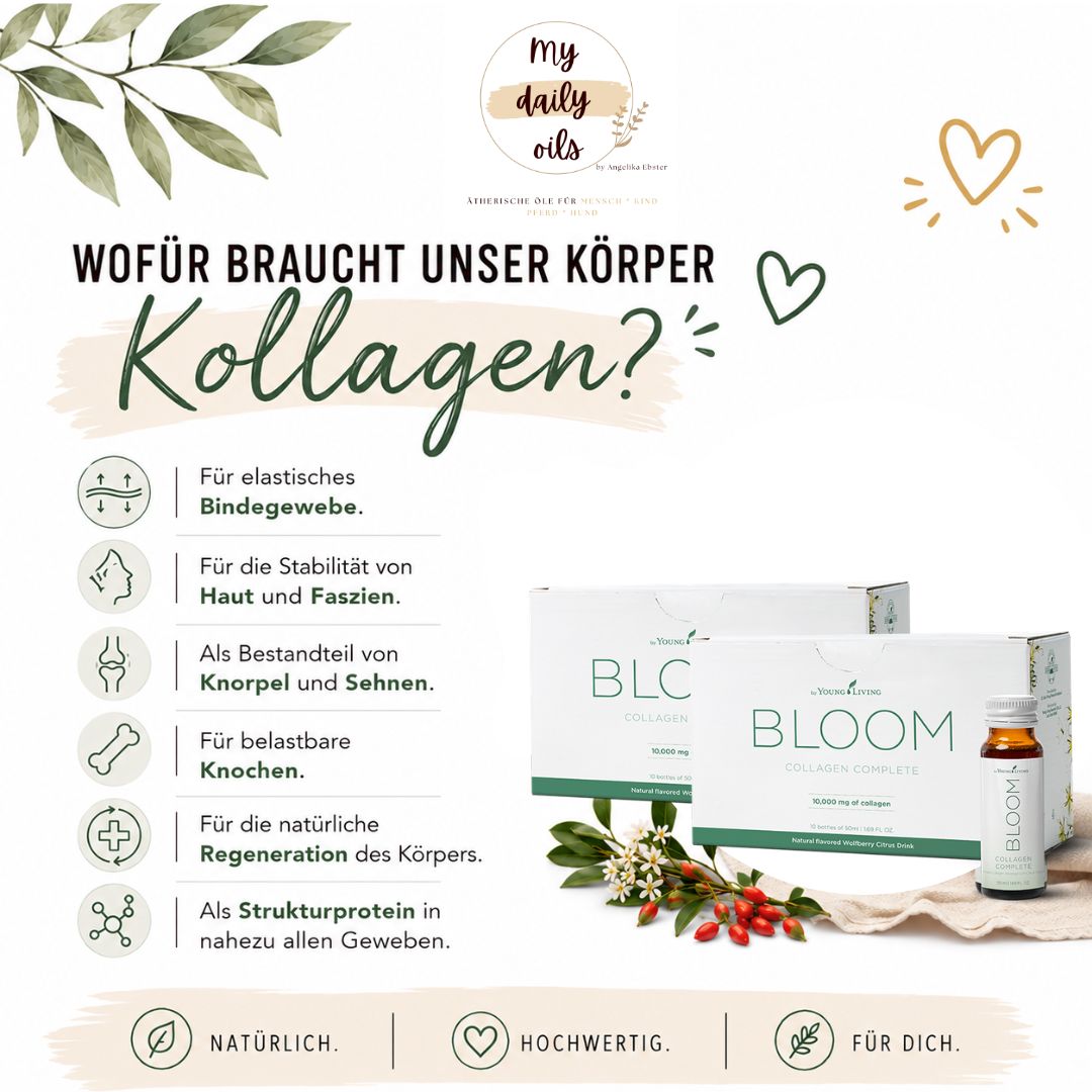 Wofür braucht unser Körper Kollagen