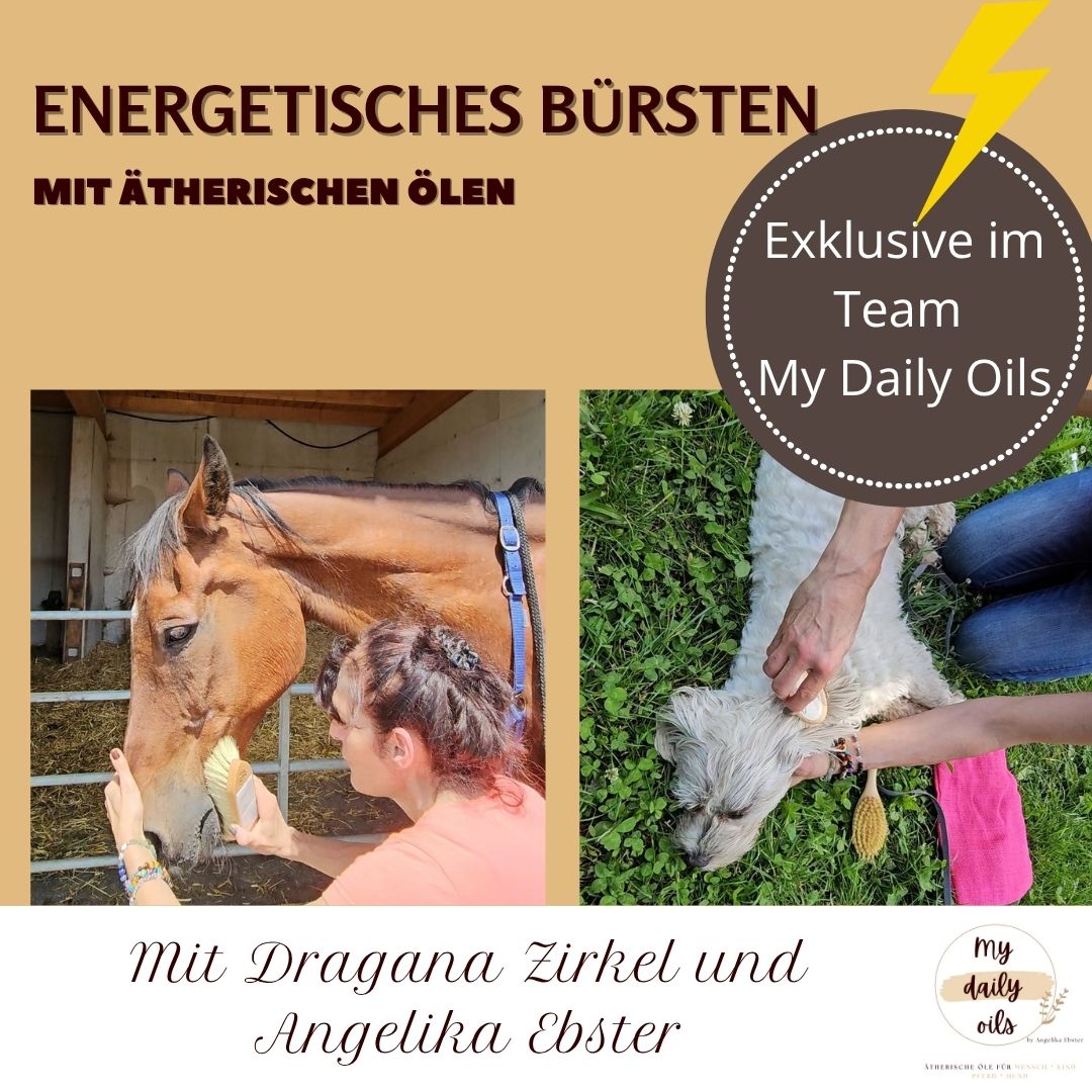 Energetisches Bürsten - exklusive im Team My Daily Oils.jpg