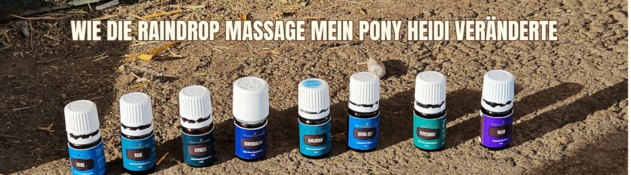 Meine Geschichte - wie die Raindrop Massage mein Welsh Pony Heidi veränderte!