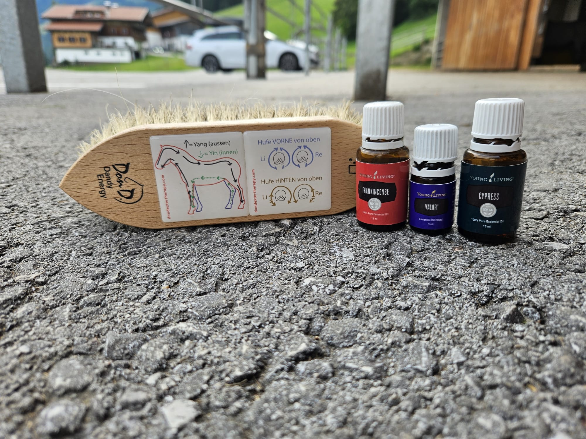 Foto Bürste und Öle 6.jpg