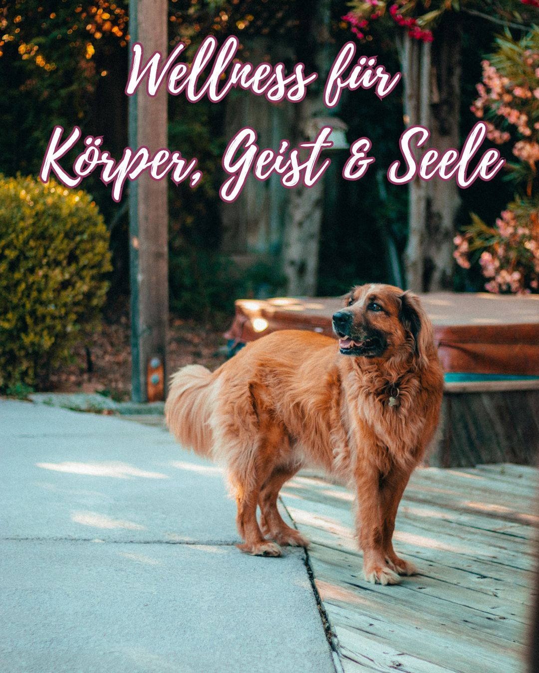 Kopie von Chakrenbalance Postings 45 (1).jpg