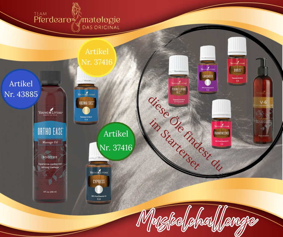 Produkte Muskelchallenge.jpg