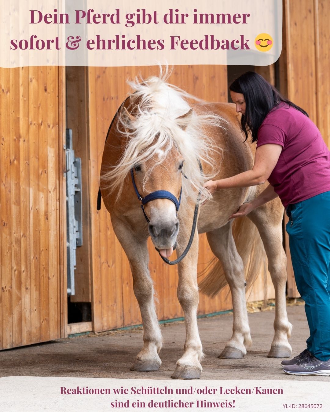 Kaufst du nur Öle (7).jpg