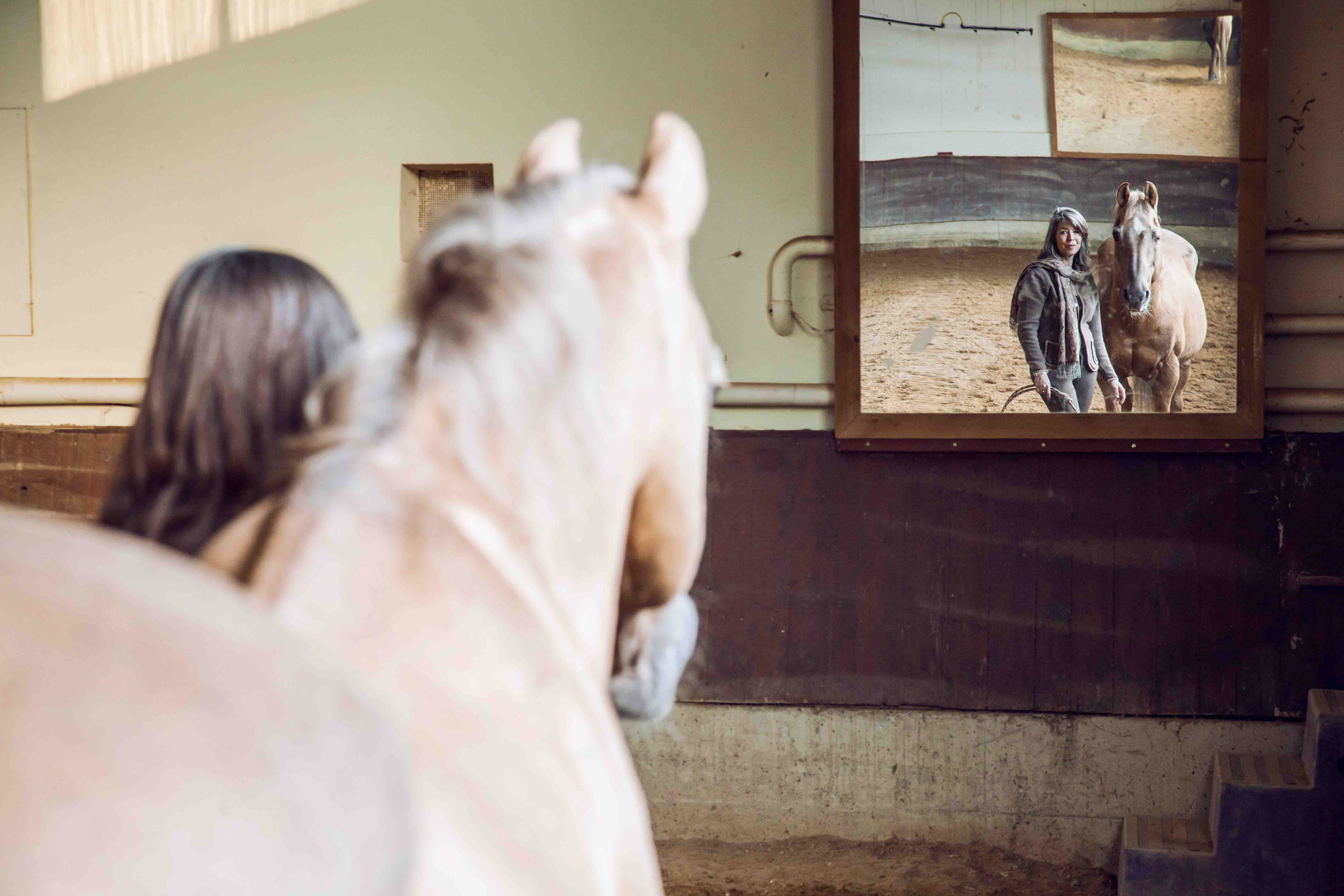 _MG_3344 Anja Hampel Spiegel Pferd klein.jpg