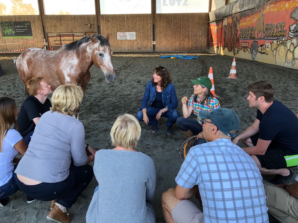 54a0fc80-5846-4fe2-aee8-e18b24b2cb53 2.JPG