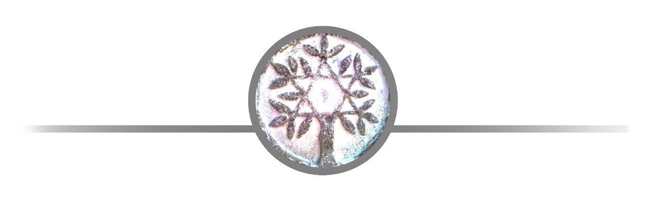 Annaco neues Logo_halb-tr.png