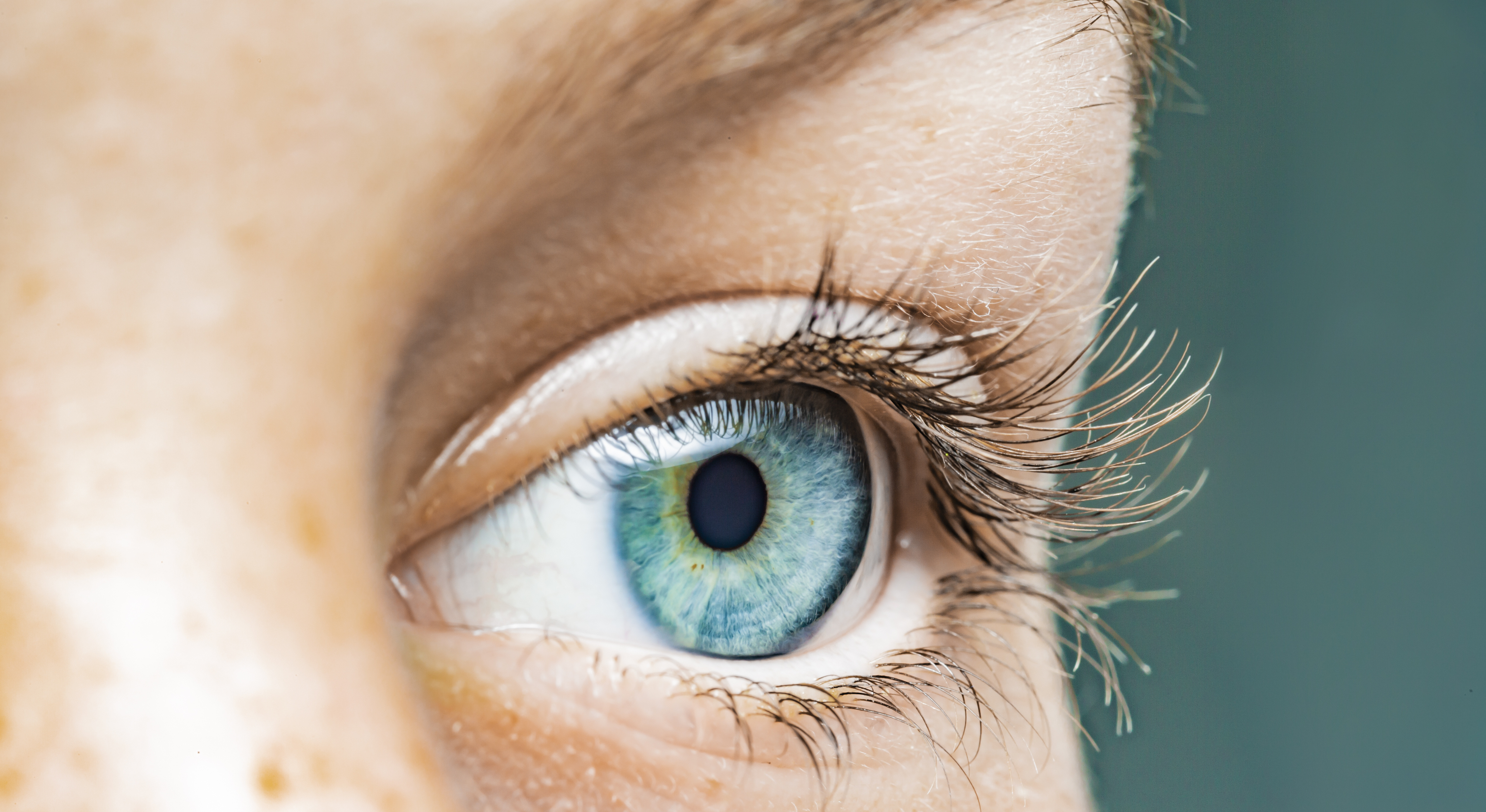 AdobeStock_325714595 Kopie Neuer Ausshnitt.jpeg