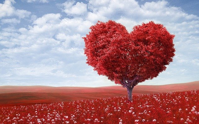 Was ist liebe - Herzbaum