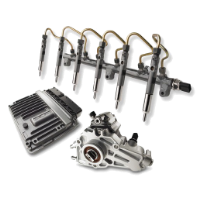 Common Rail System klein