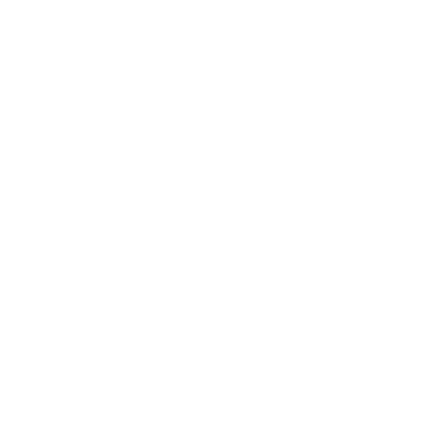 List Item Icon