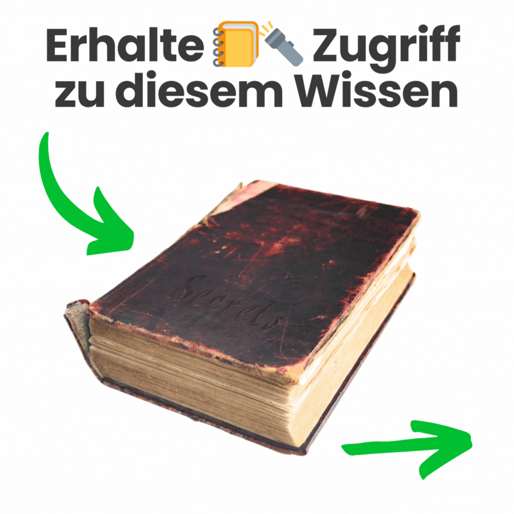 Kein Titel (500 x 750 px) (500 x 750 px) (500 x 500 px) (1000 x 1000 px) (3).gif