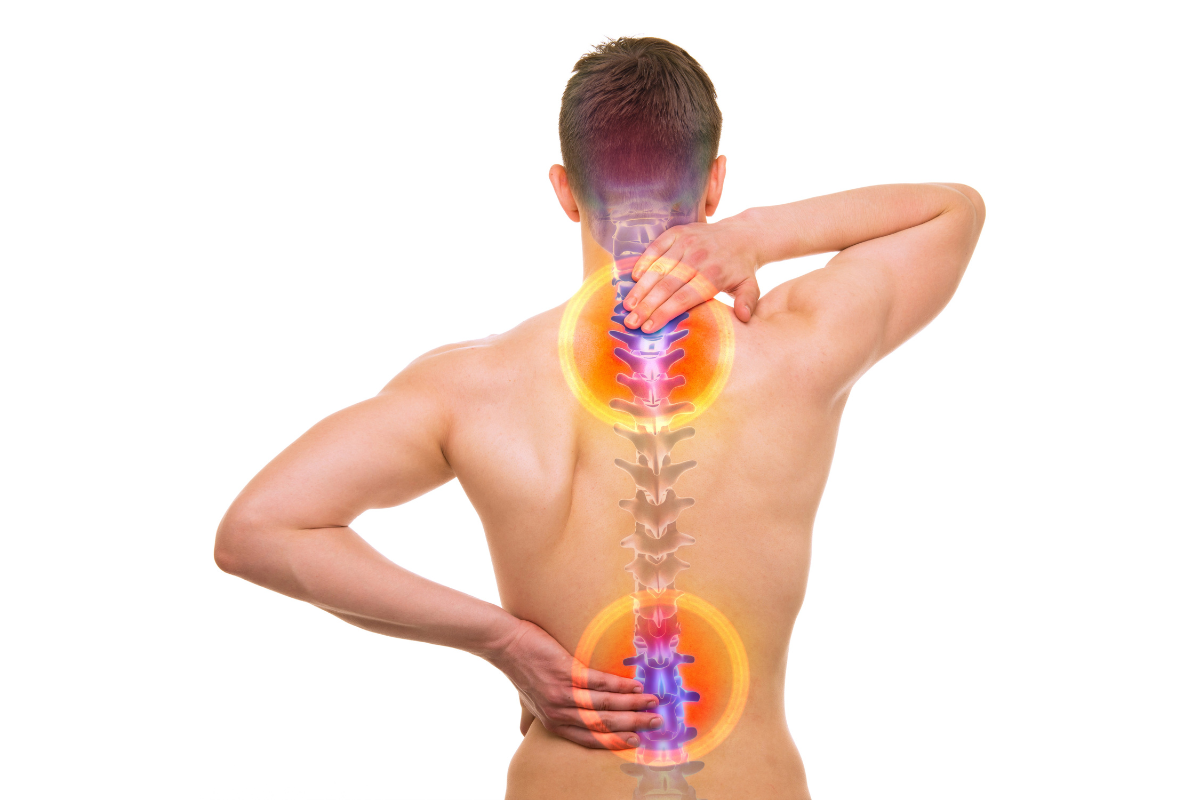 fitline grafik.png