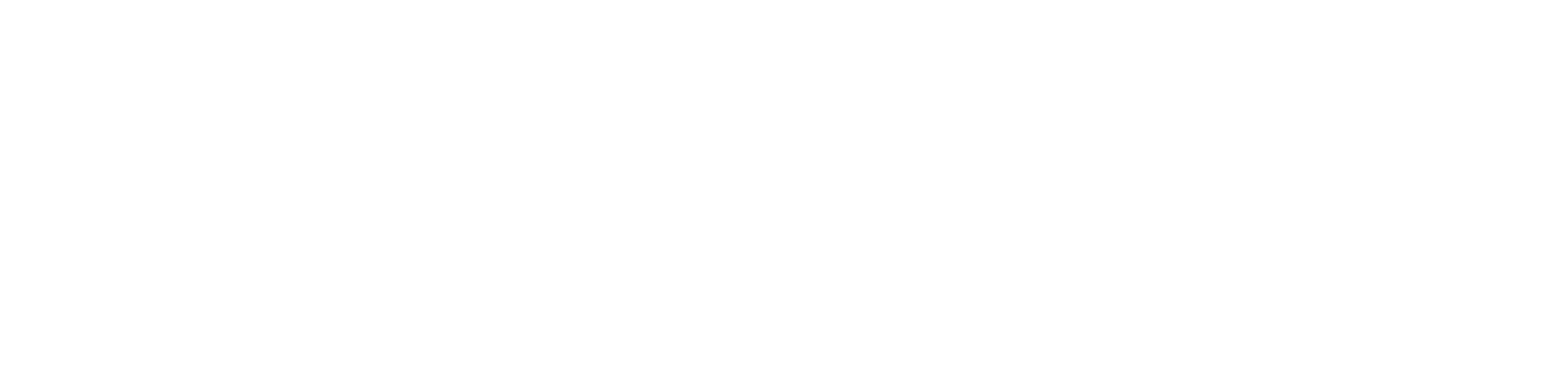 240924-NiSV-Bildungsallianz-Logo_white.png