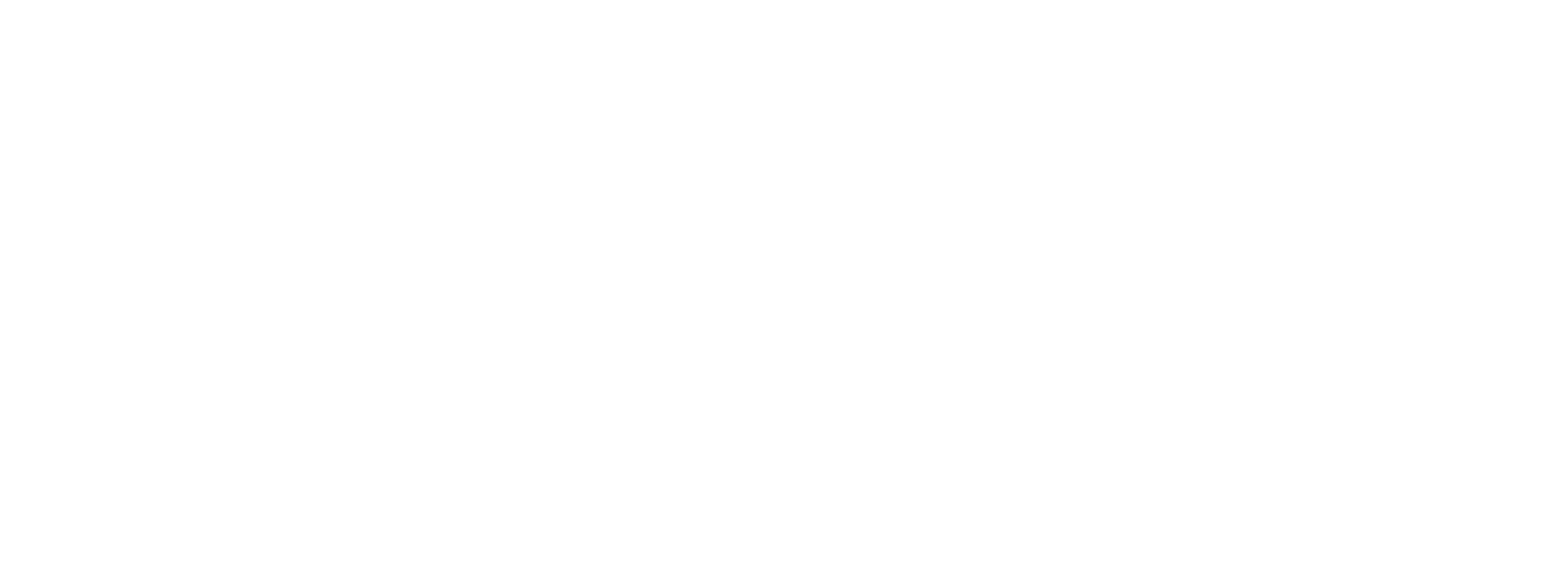 J.SIN Logo black weiss.png