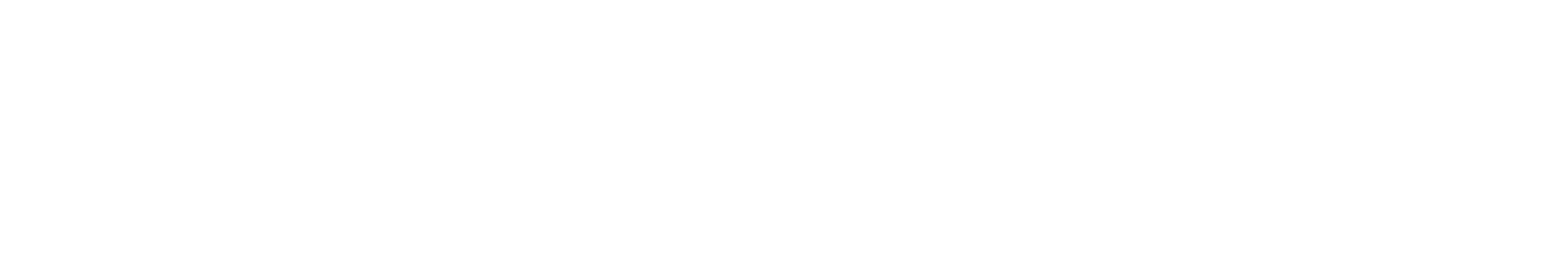 Leo Gärtner – Steuerparadies Deutschland