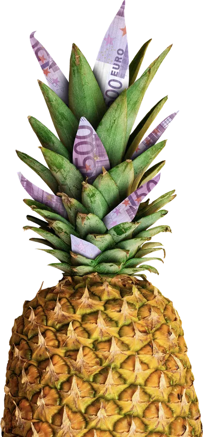 Ananas mit Geldschein-Blättern aus der Steuerparadies-Markenwelt