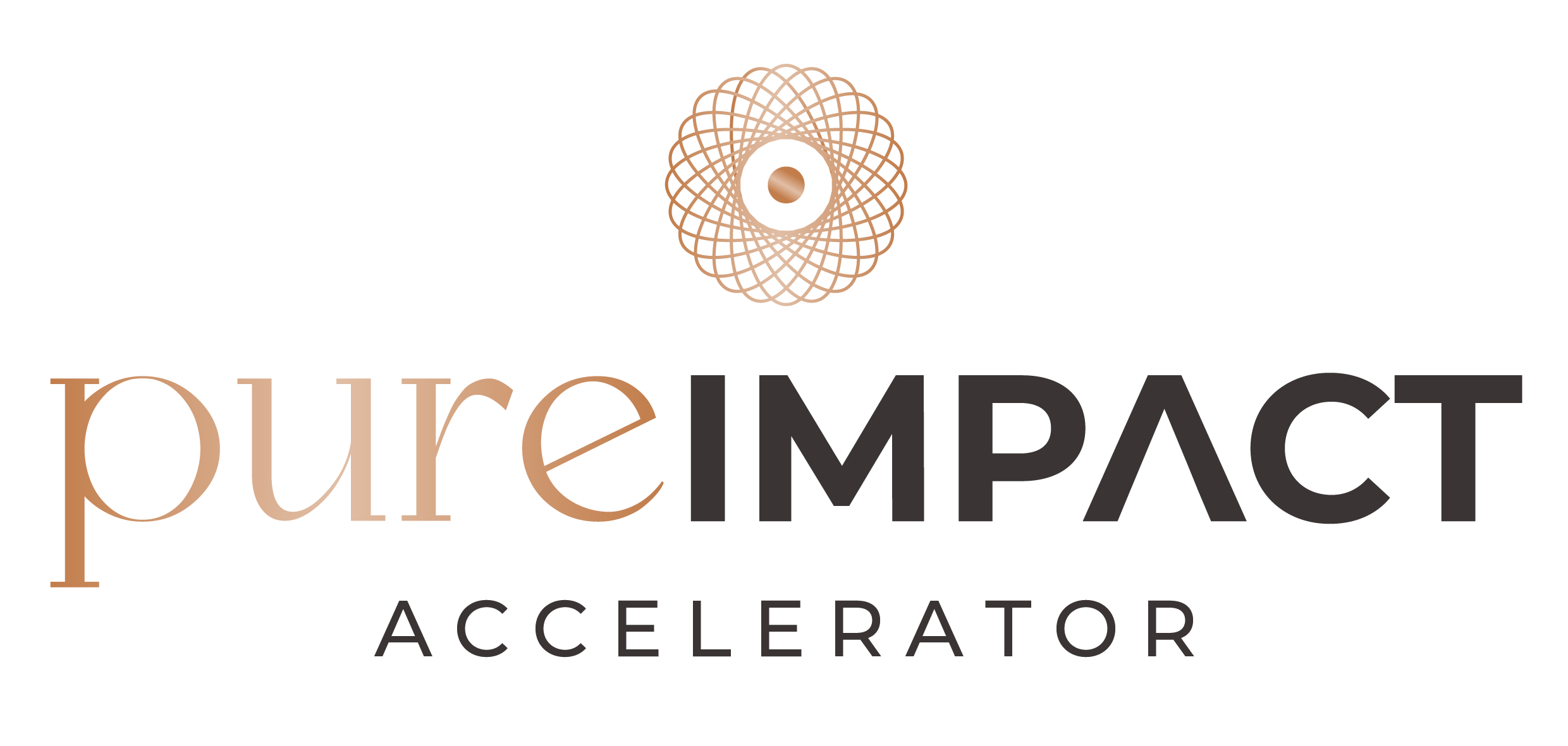 Logo_PureImpact_Accelerator_dunkel.png