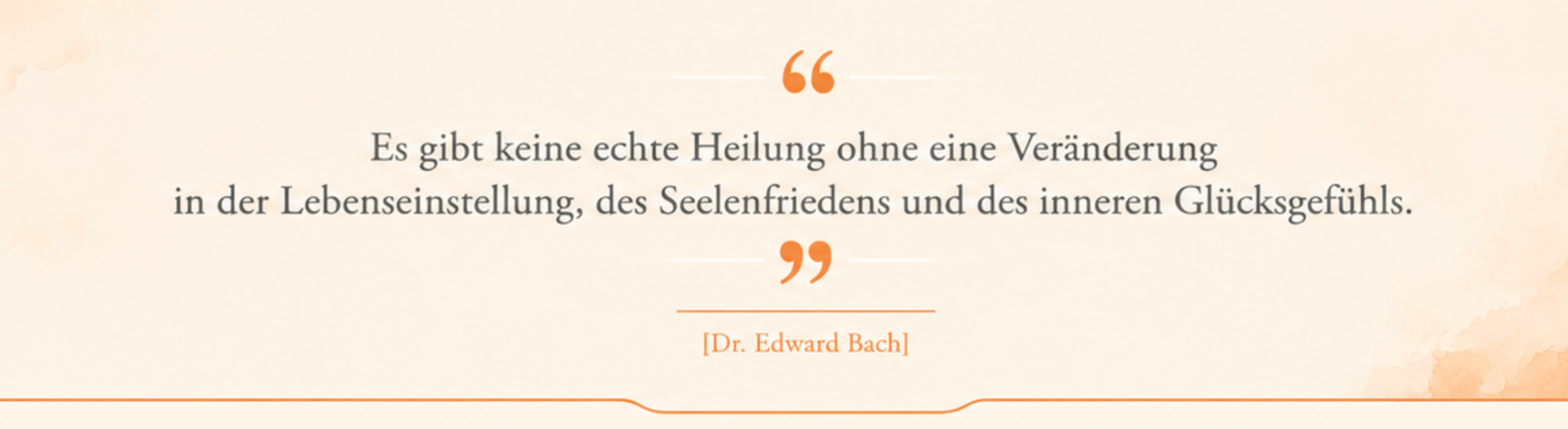 Bildschirmfoto 2026-08-29 um 15.44.42.png