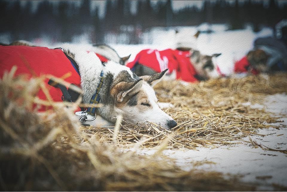 Foto von Anke Schiller