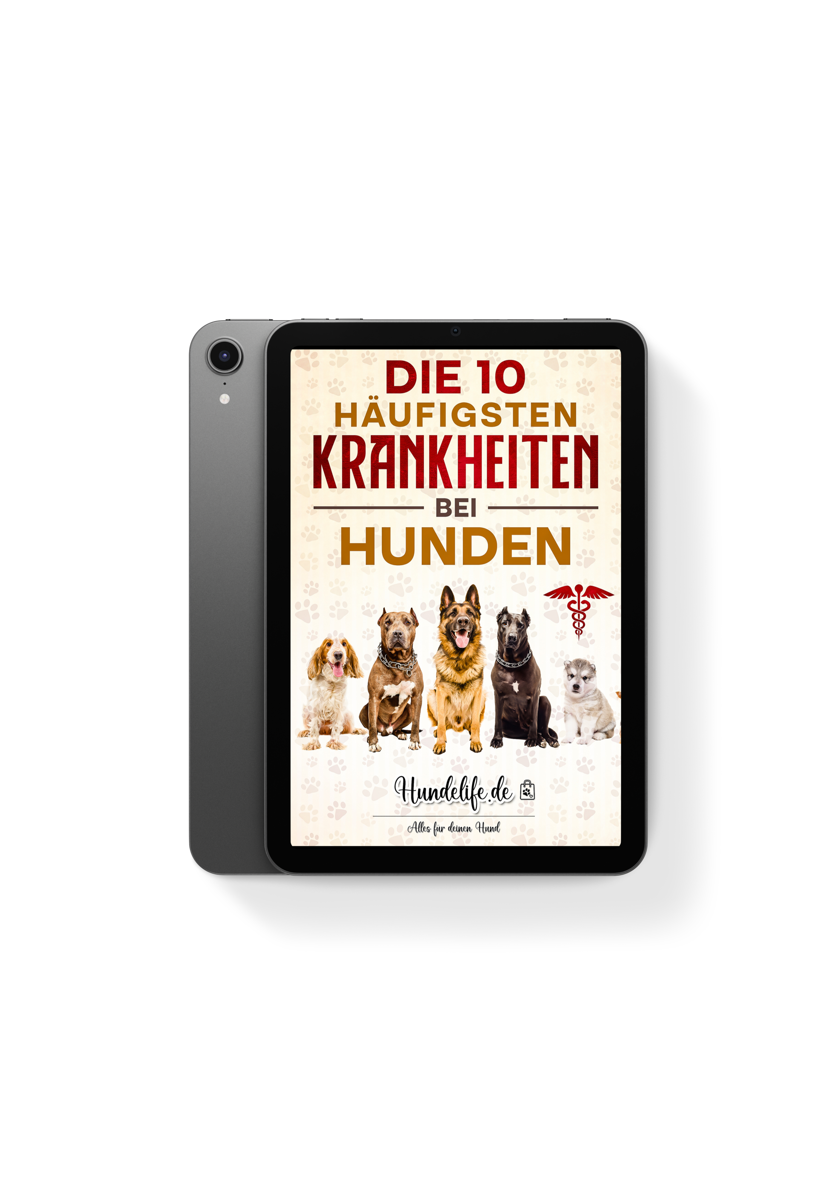 iPad Mini in 4 colors_tobiassimi 2.png