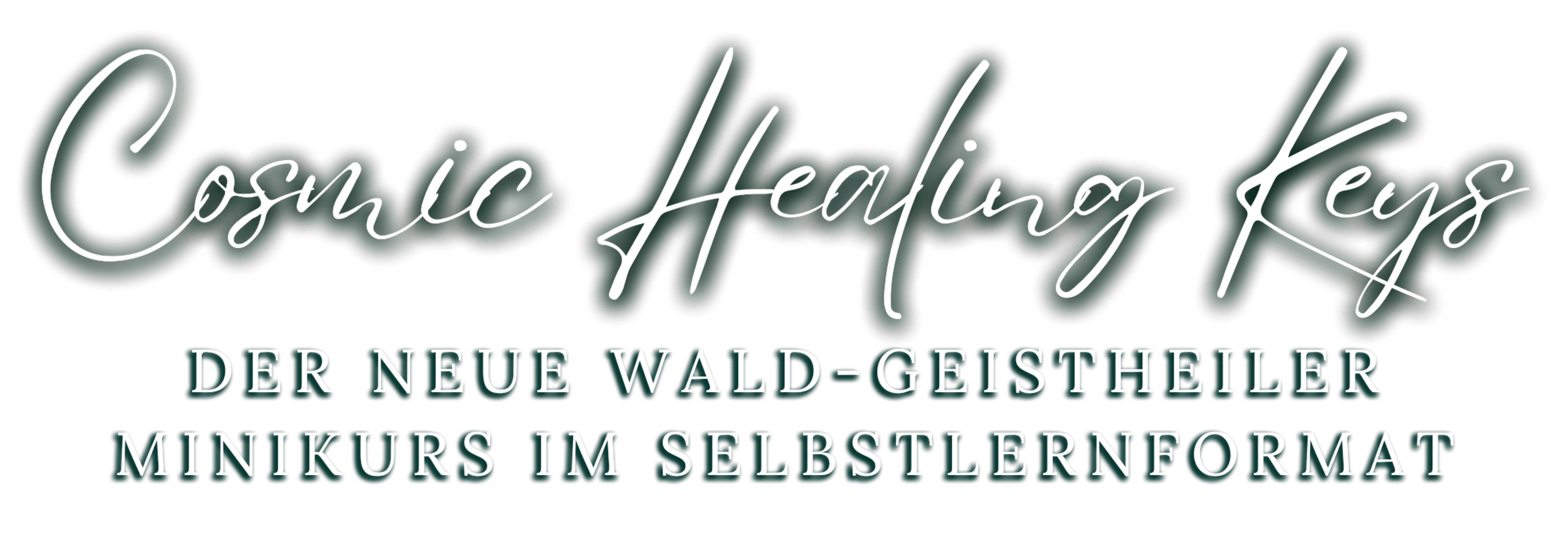 Header Website (20).png