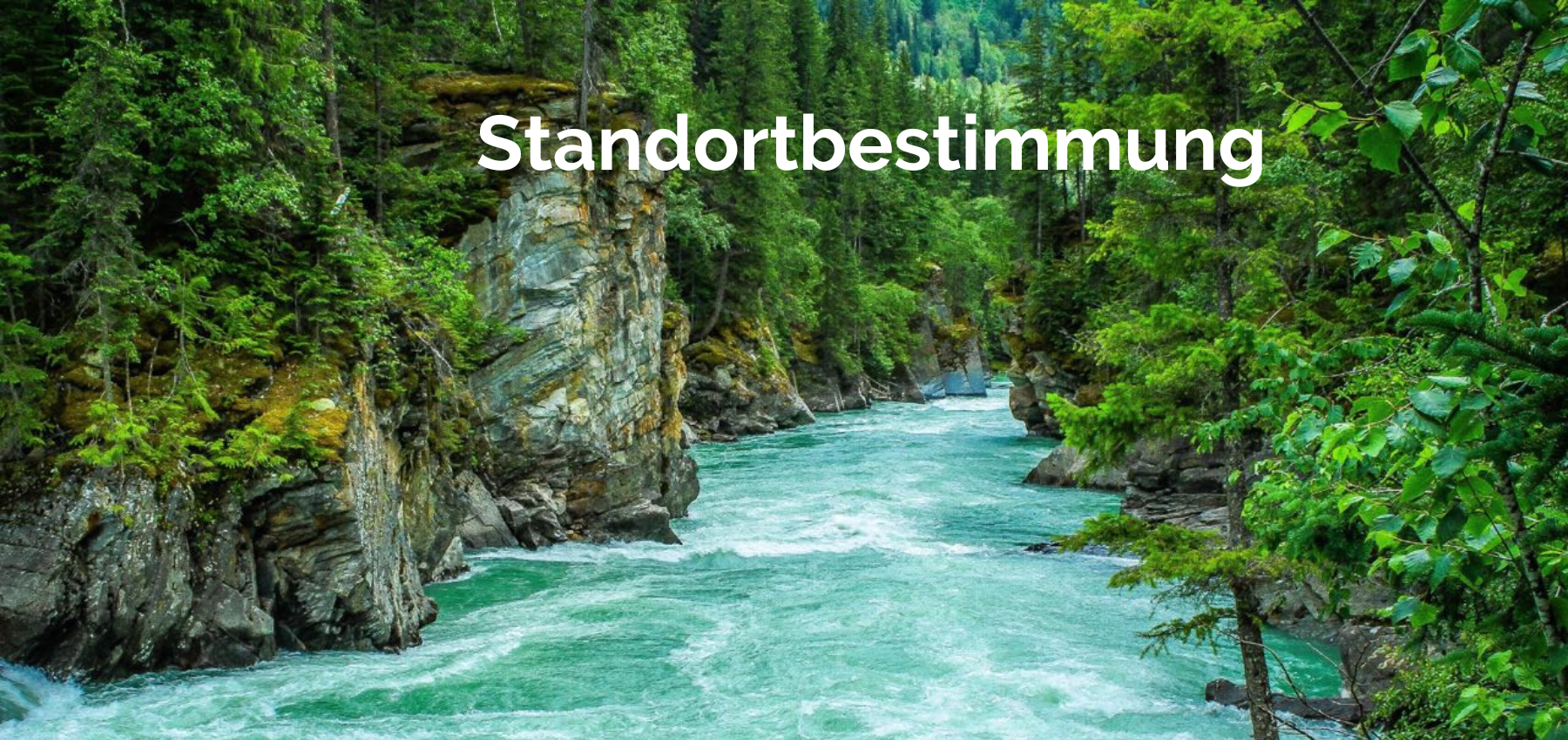 Kopie von Zeitdynamik Banner für Funnel.png