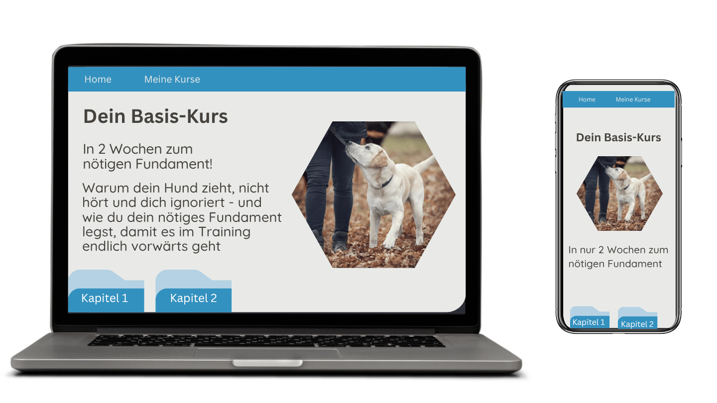 Laptop und Handy Onlinekurs-2.png