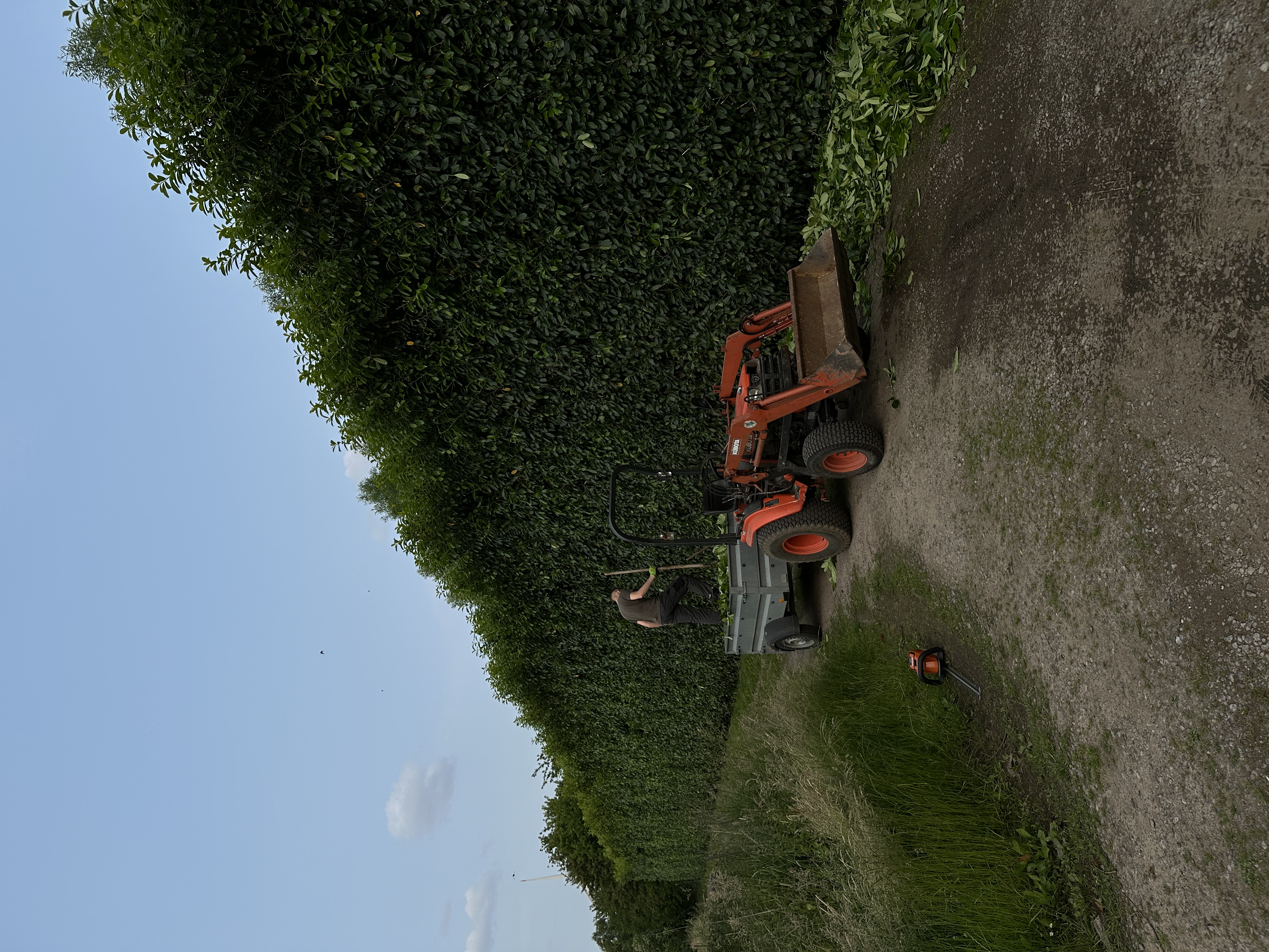 Ein kleiner Traktor, im Hintergrund eine frisch geschnittene Hecke.