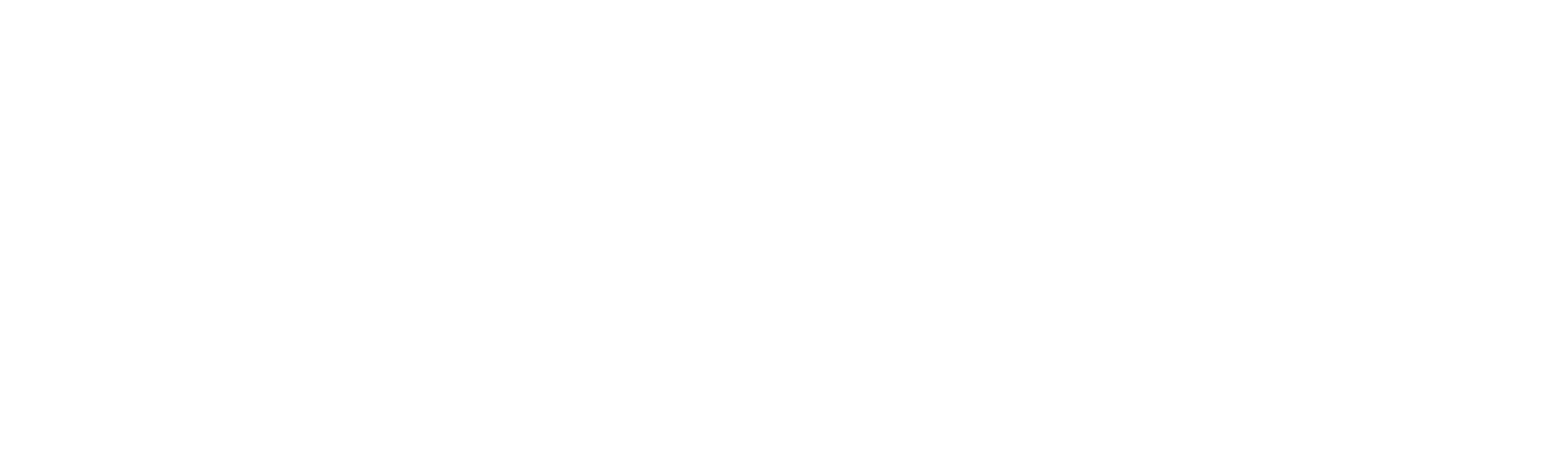 Transparent Logo.png