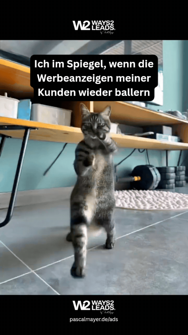 GIF neu - Ich im Spiegel, wenn die Werbeanzeigen meiner Kunden wieder ballern.gif