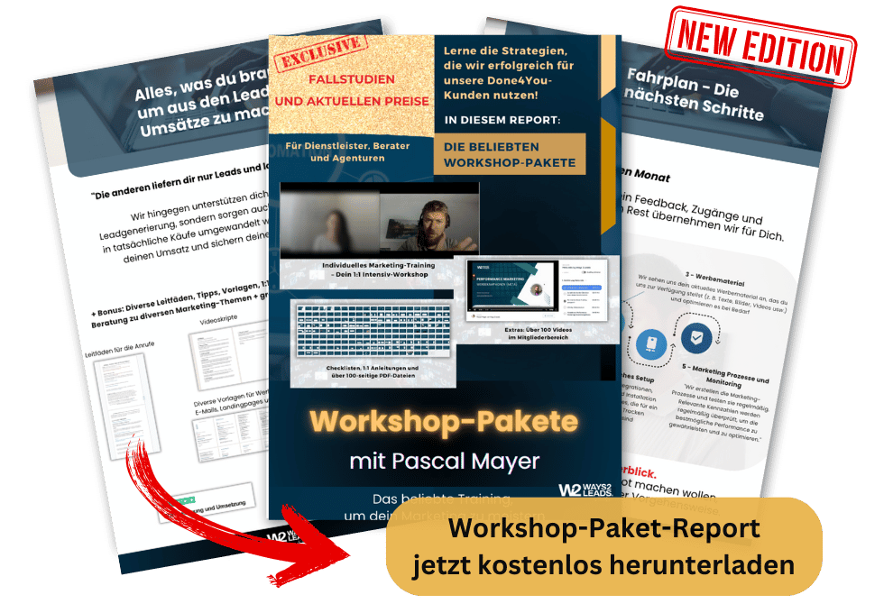 Performance Marketing Strategie - Report von Pascal Mayer - Ways 2 Leads