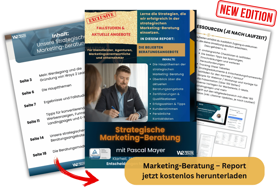 Performance Marketing Strategie - Report von Pascal Mayer - Ways 2 Leads