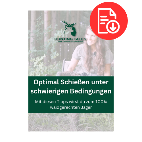 Sicher Schießen Download.png