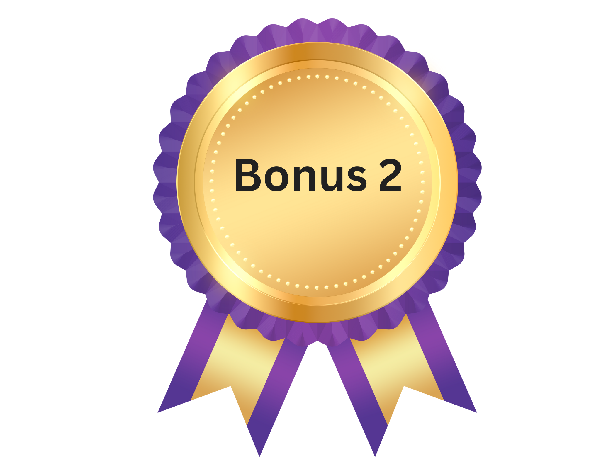 Bonus-2png.png
