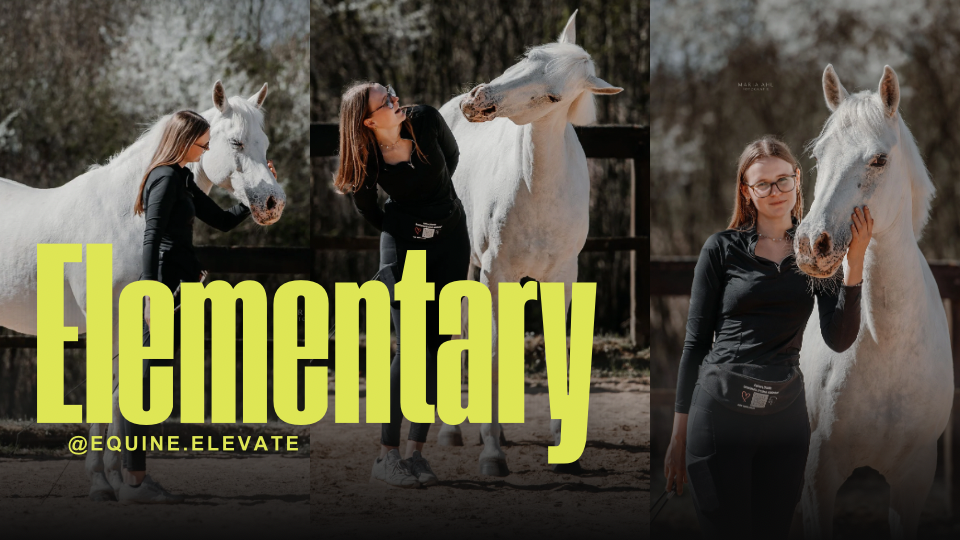 Kopie von Yellow Bold Modern Travel Vlog YouTube Thumbnail - 1.png