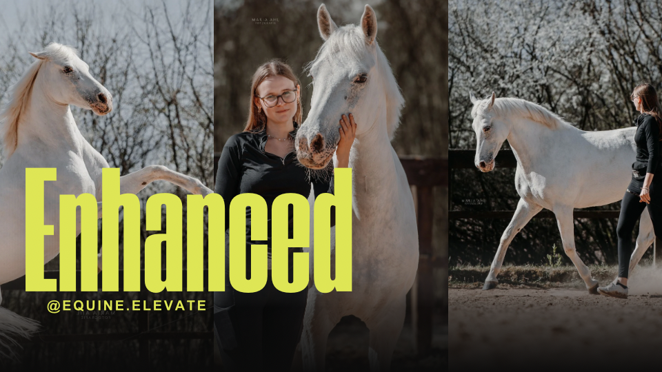 Kopie von Yellow Bold Modern Travel Vlog YouTube Thumbnail - 2.png