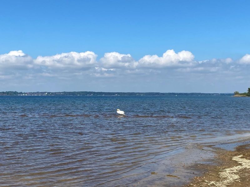 Bodensee Überlingen Panorama