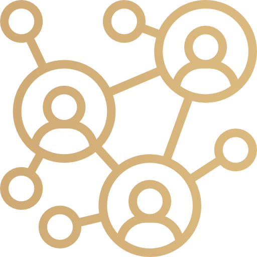 Networking Icon.png