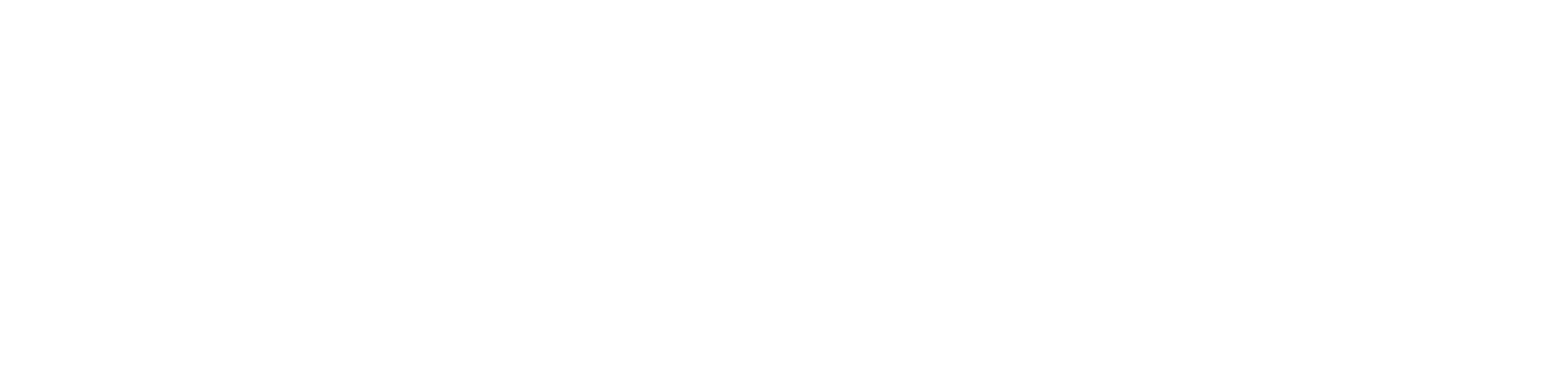 Logo_white_conny.png