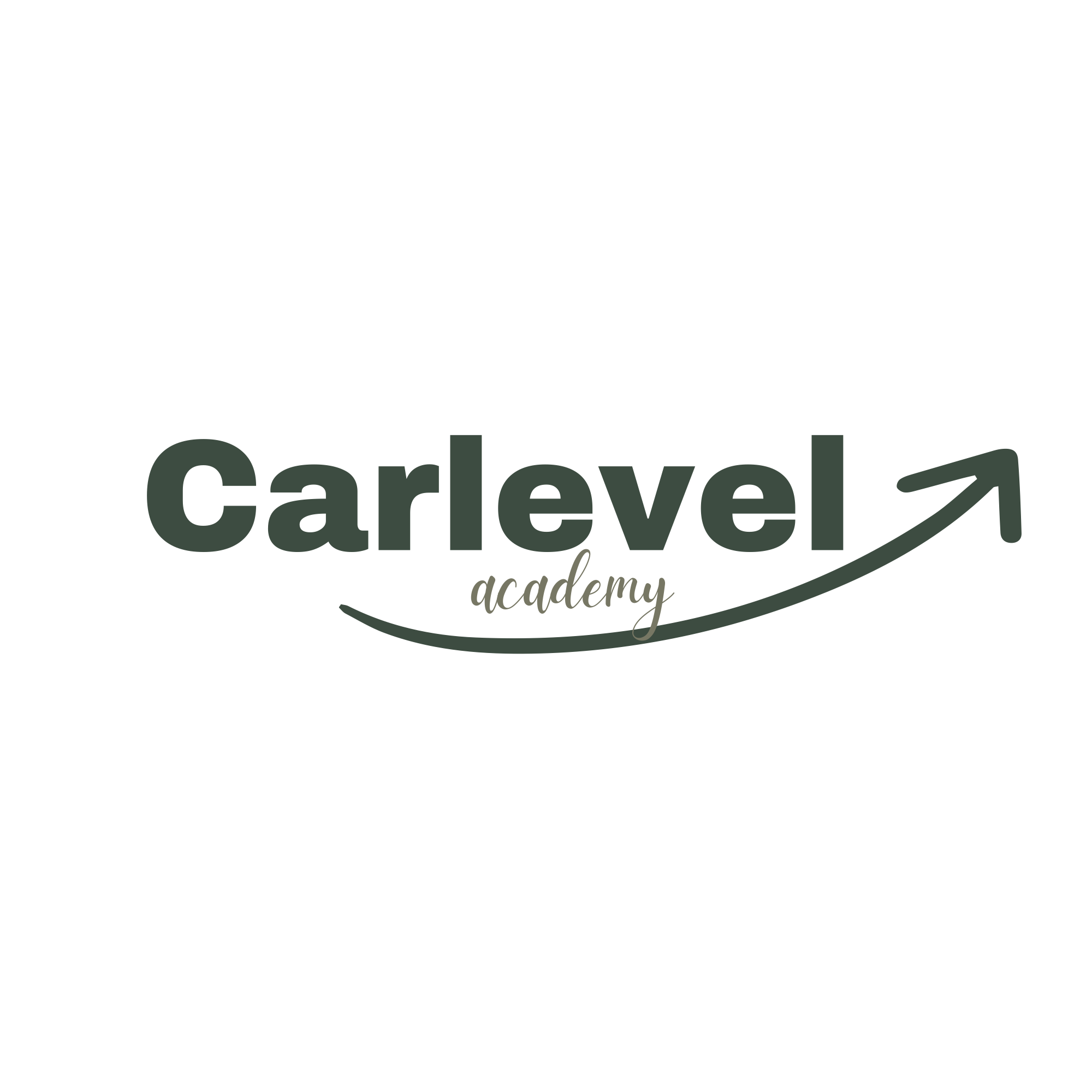 Logo transparent.png