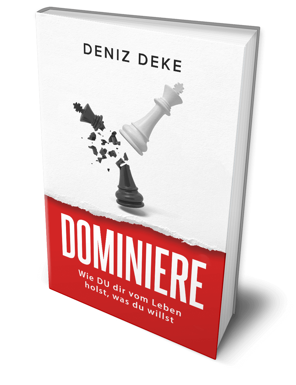 Dominiere-Mockup-1-.png