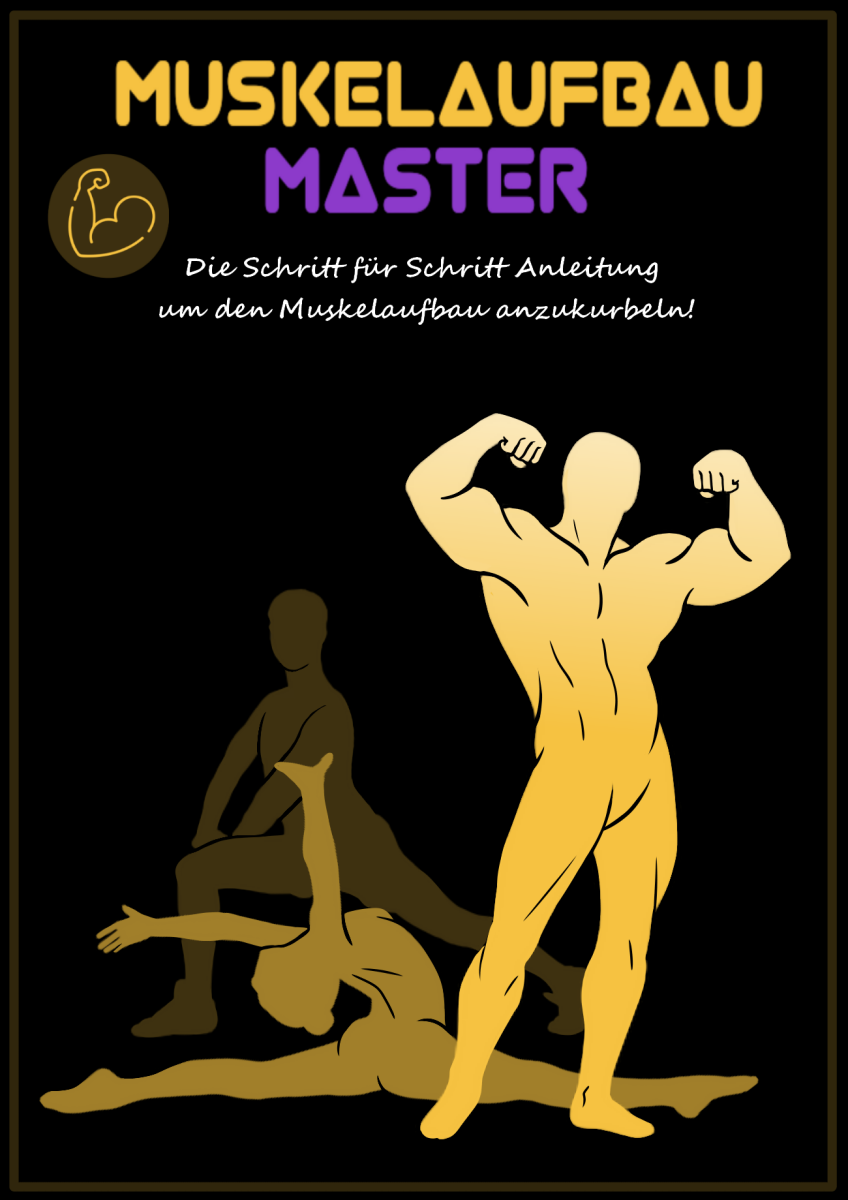 ebook mystic rooms muskelaufbau master.png